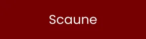 Scaune