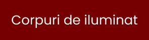 Corpuri de iluminat
