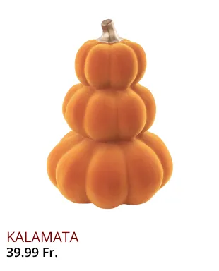 Newsletter Image