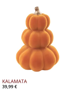 Newsletter Image