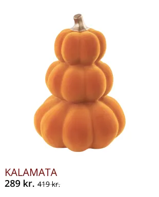 Newsletter Image
