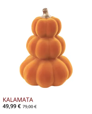 Newsletter Image