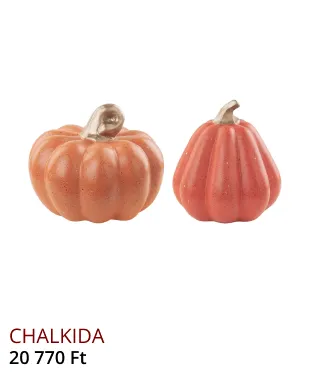 Newsletter Image