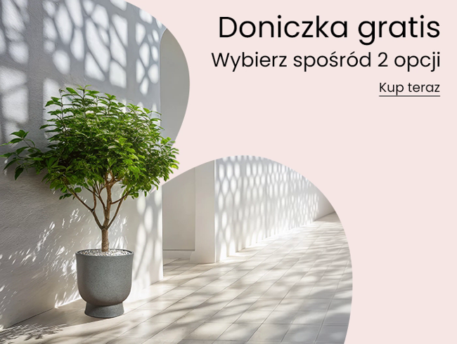 Soon Ending Campaign