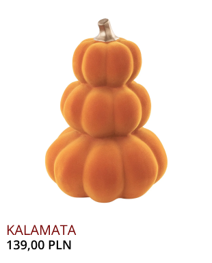 Newsletter Image