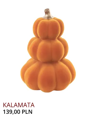 Newsletter Image