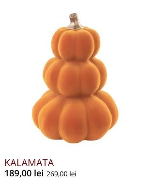 Newsletter Image