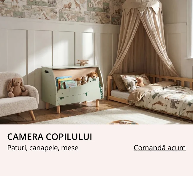 Camera copilului