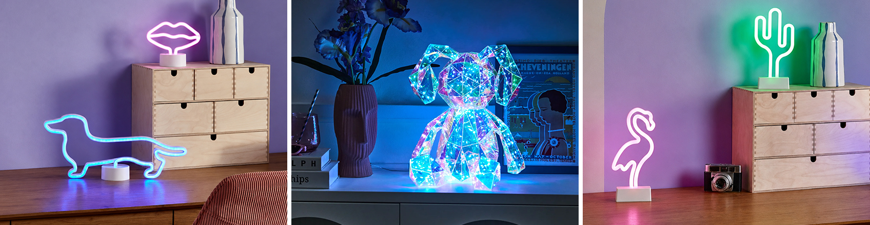 image showing 3 neon LED decorative lights