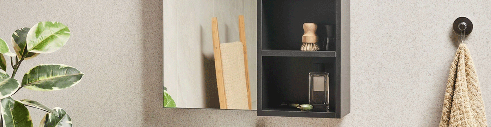 Image showing mirrored cabinet