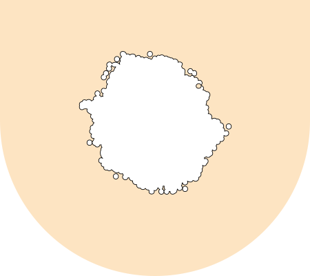 cushion filling