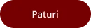 Paturi